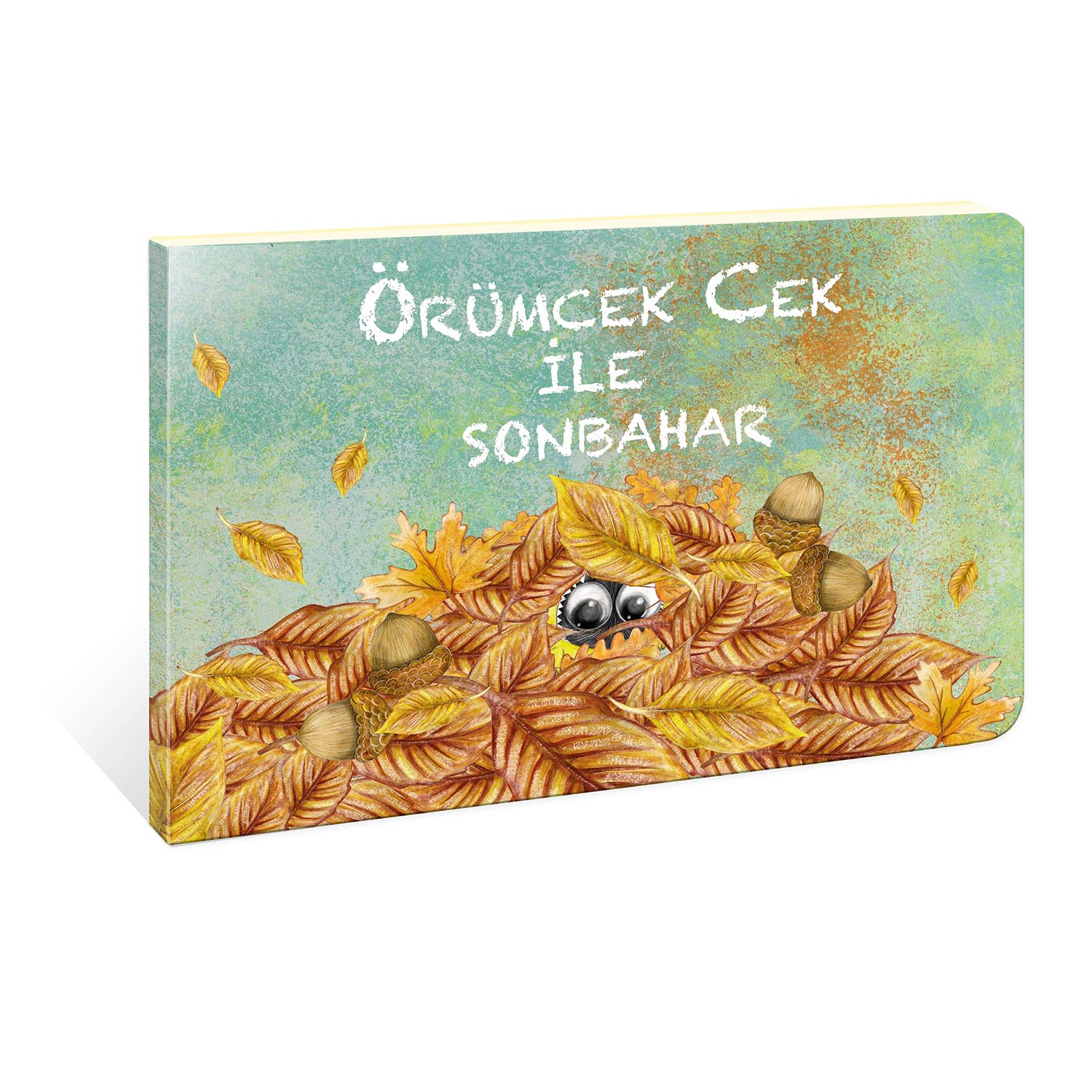  Örümcek Cek Cırt Cırtlı Hikaye Kitabı Mevsimler Sonbahar